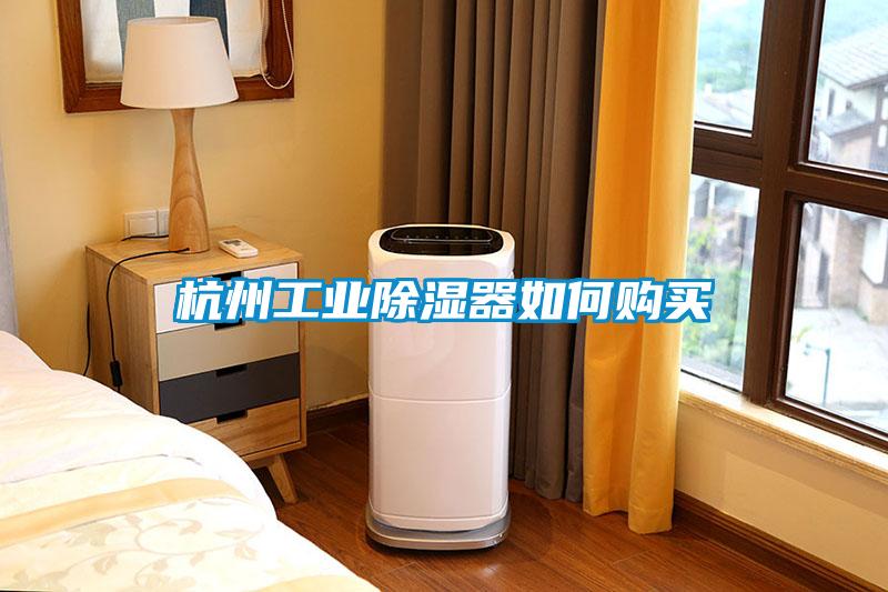 杭州工業(yè)除濕器如何購買