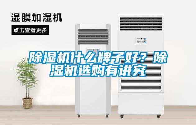 除濕機(jī)什么牌子好？除濕機(jī)選購有講究