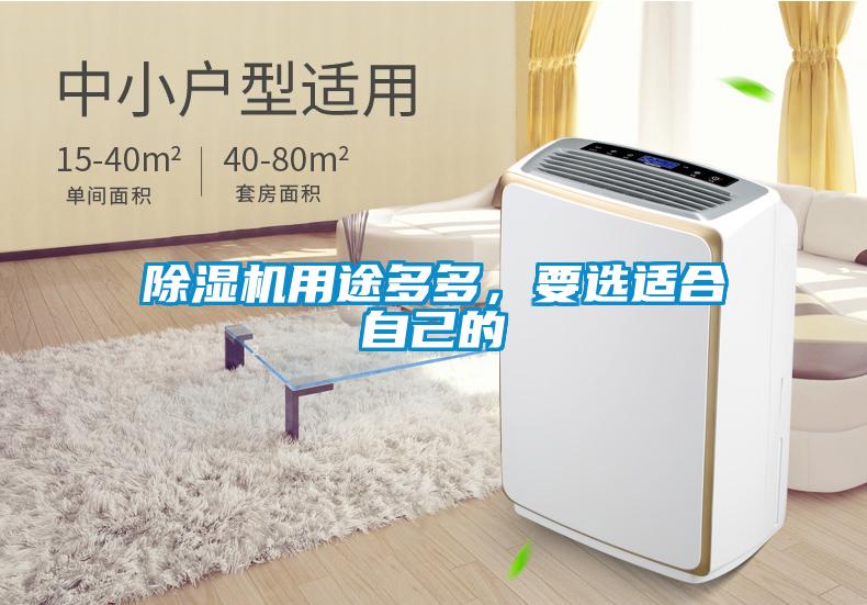 除濕機用途多多，要選適合自己的