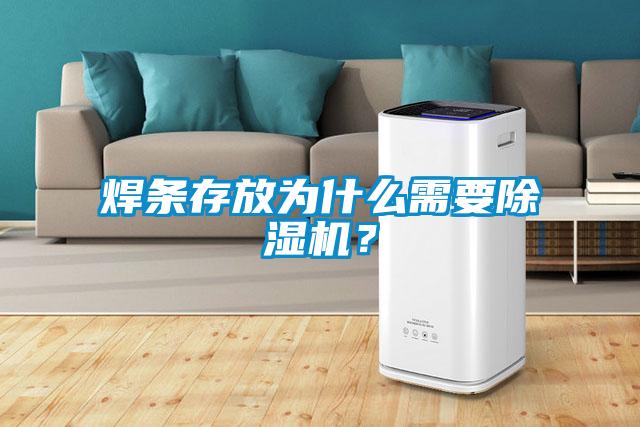 焊條存放為什么需要除濕機？