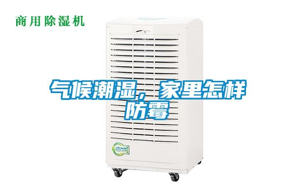 氣候潮濕，家里怎樣防霉