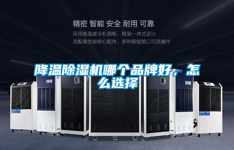 降溫除濕機哪個品牌好，怎么選擇