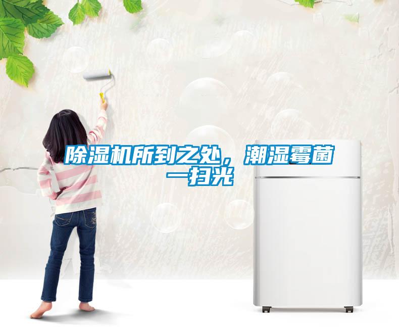 除濕機(jī)所到之處，潮濕霉菌一掃光
