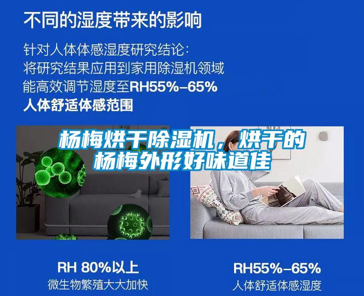 楊梅烘干除濕機(jī)，烘干的楊梅外形好味道佳