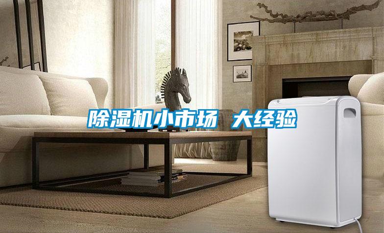 除濕機(jī)小市場(chǎng) 大經(jīng)驗(yàn)