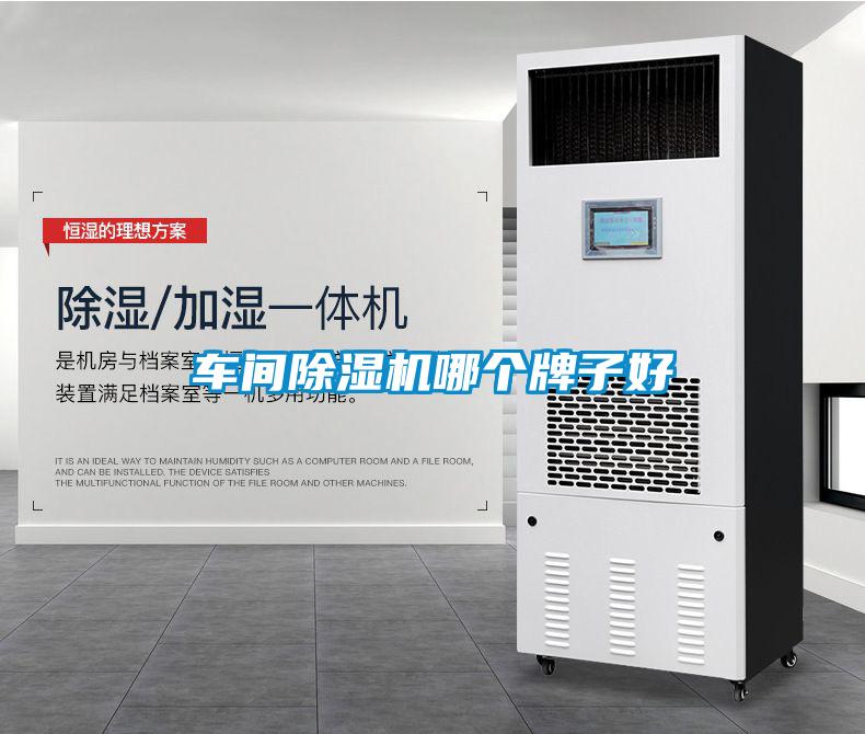 車間除濕機(jī)哪個(gè)牌子好