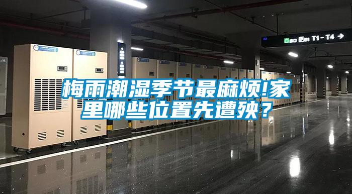 梅雨潮濕季節(jié)最麻煩!家里哪些位置先遭殃？