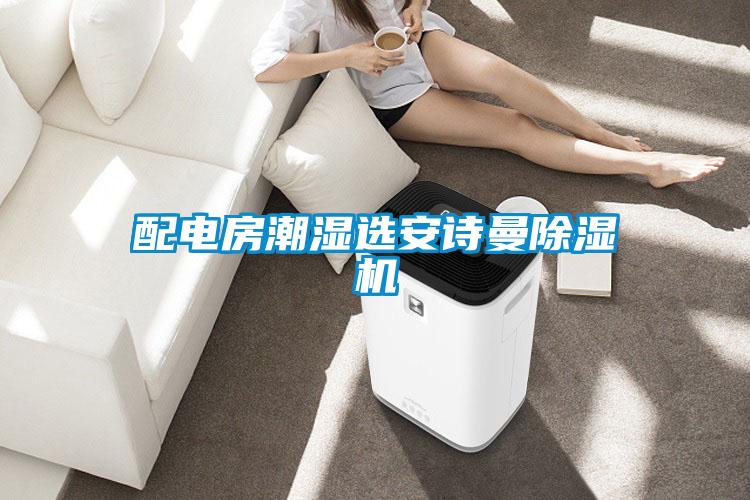 配電房潮濕選安詩(shī)曼除濕機(jī)