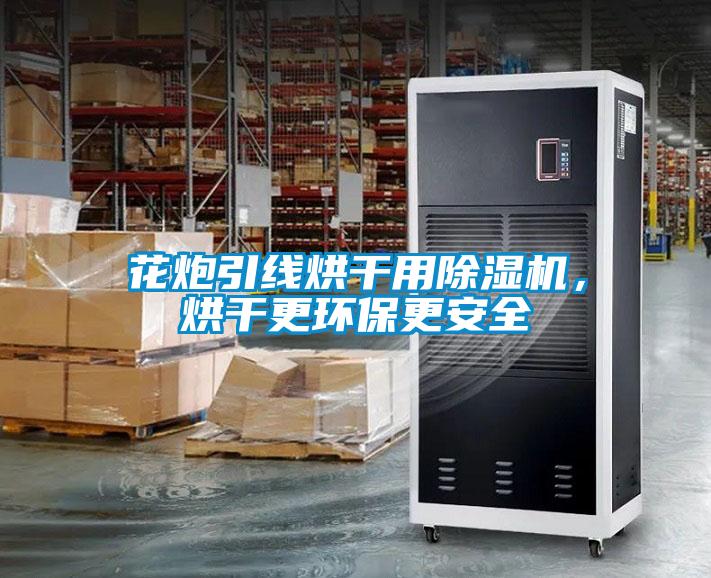 花炮引線烘干用除濕機(jī)，烘干更環(huán)保更安全
