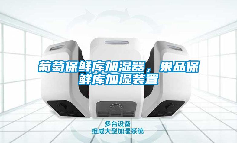葡萄保鮮庫加濕器，果品保鮮庫加濕裝置