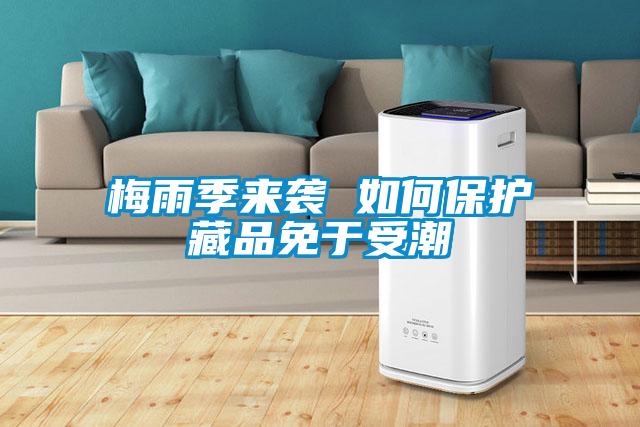 梅雨季來(lái)襲 如何保護(hù)藏品免于受潮