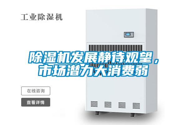 除濕機(jī)發(fā)展靜待觀(guān)望，市場(chǎng)潛力大消費(fèi)弱
