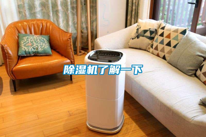 除濕機(jī)了解一下