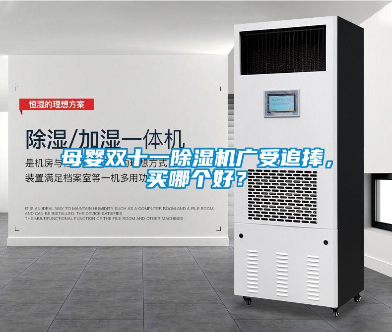 母嬰雙十一除濕機(jī)廣受追捧，買(mǎi)哪個(gè)好？
