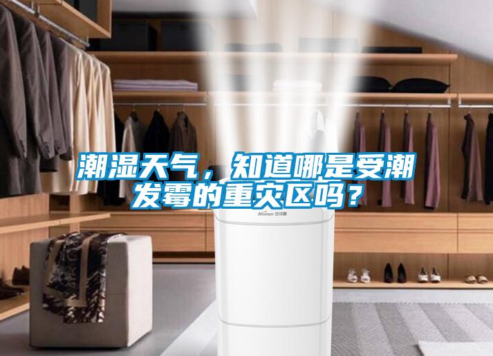 潮濕天氣，知道哪是受潮發(fā)霉的重災(zāi)區(qū)嗎？