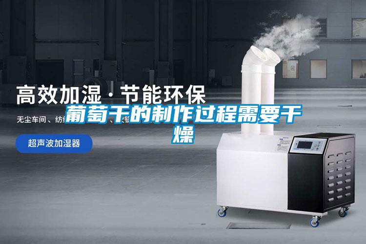 葡萄干的制作過程需要干燥