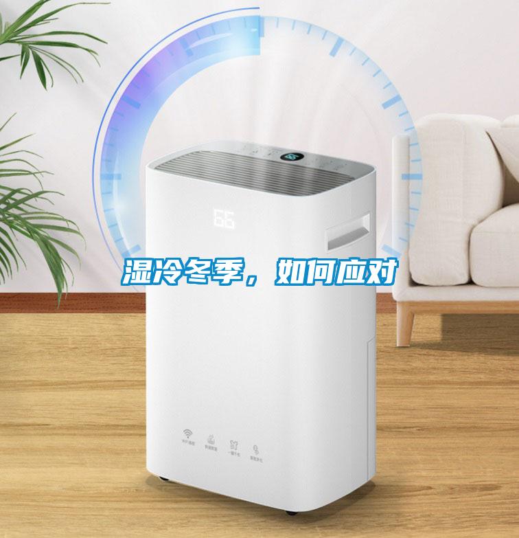 濕冷冬季，如何應(yīng)對(duì)