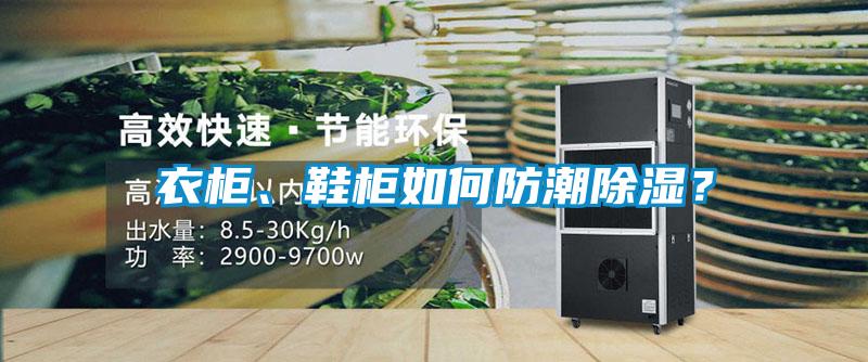 衣柜、鞋柜如何防潮除濕？