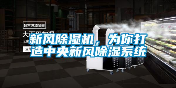 新風(fēng)除濕機(jī)，為你打造中央新風(fēng)除濕系統(tǒng)