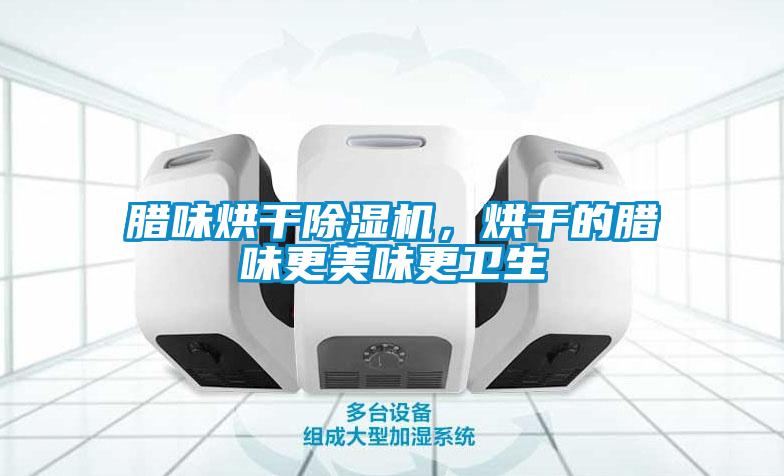 臘味烘干除濕機(jī)，烘干的臘味更美味更衛(wèi)生