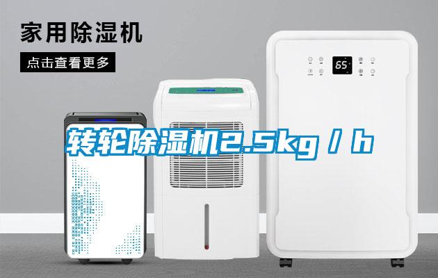轉(zhuǎn)輪除濕機(jī)2.5kg／h
