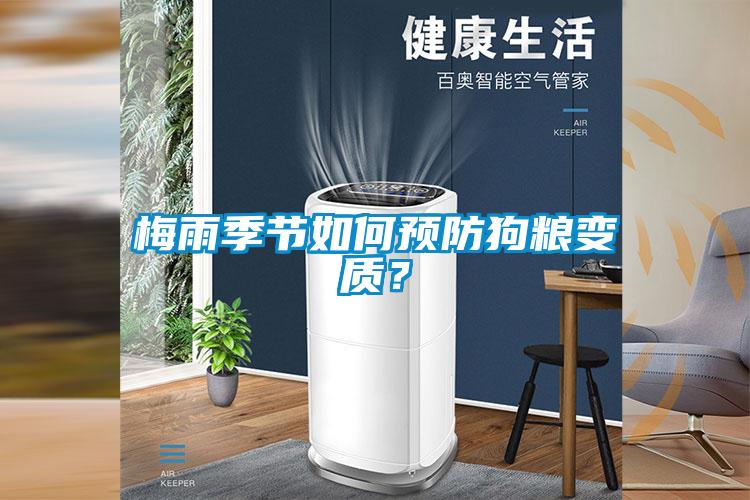 梅雨季節(jié)如何預(yù)防狗糧變質(zhì)？