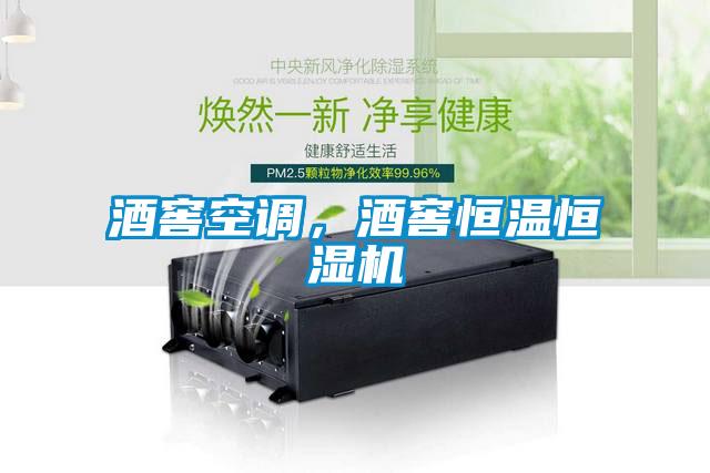 酒窖空調(diào)，酒窖恒溫恒濕機(jī)
