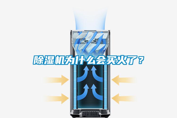 除濕機為什么會買火了？