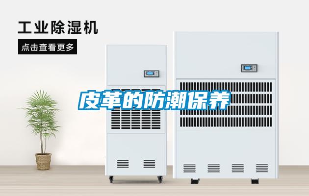 皮革的防潮保養(yǎng)