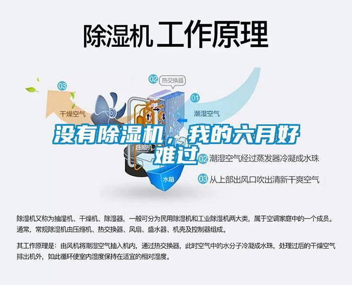 沒有除濕機(jī)，我的六月好難過