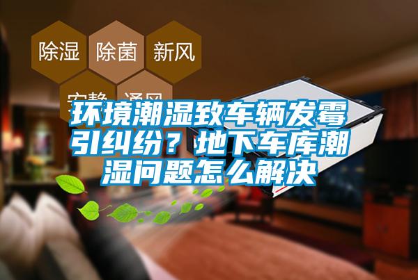 環(huán)境潮濕致車輛發(fā)霉引糾紛？地下車庫潮濕問題怎么解決