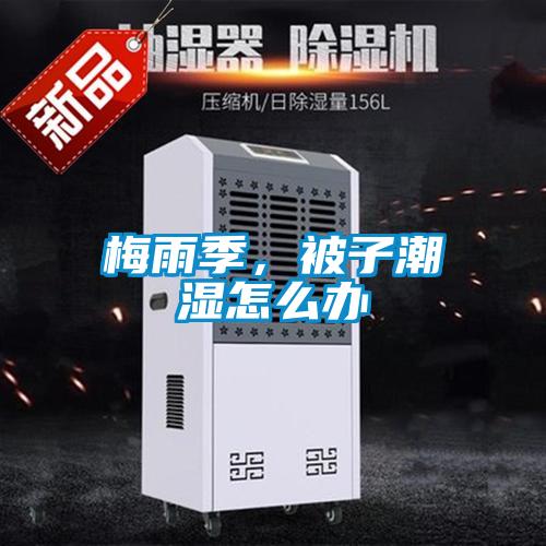 梅雨季，被子潮濕怎么辦