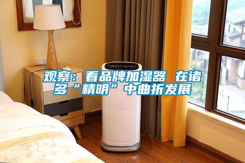 觀察：看品牌加濕器 在諸多“精明”中曲折發(fā)展