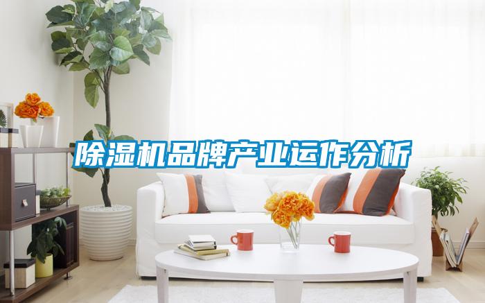 除濕機(jī)品牌產(chǎn)業(yè)運(yùn)作分析