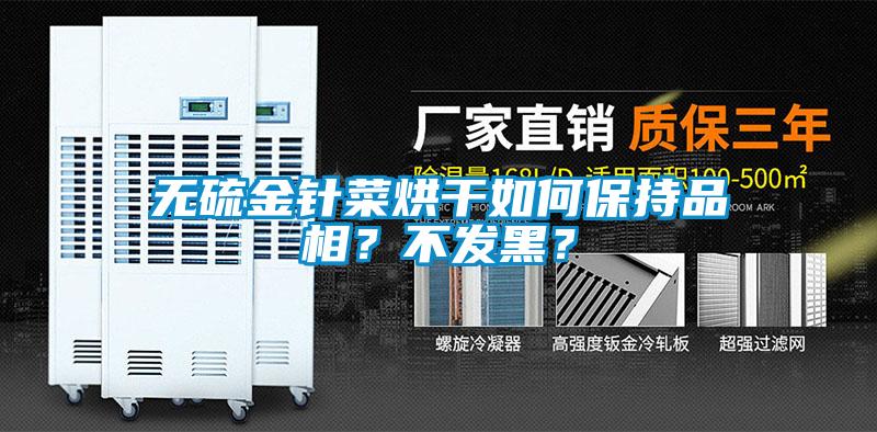 無硫金針菜烘干如何保持品相？不發(fā)黑？