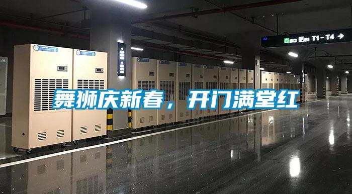 舞獅慶新春，開(kāi)門(mén)滿(mǎn)堂紅