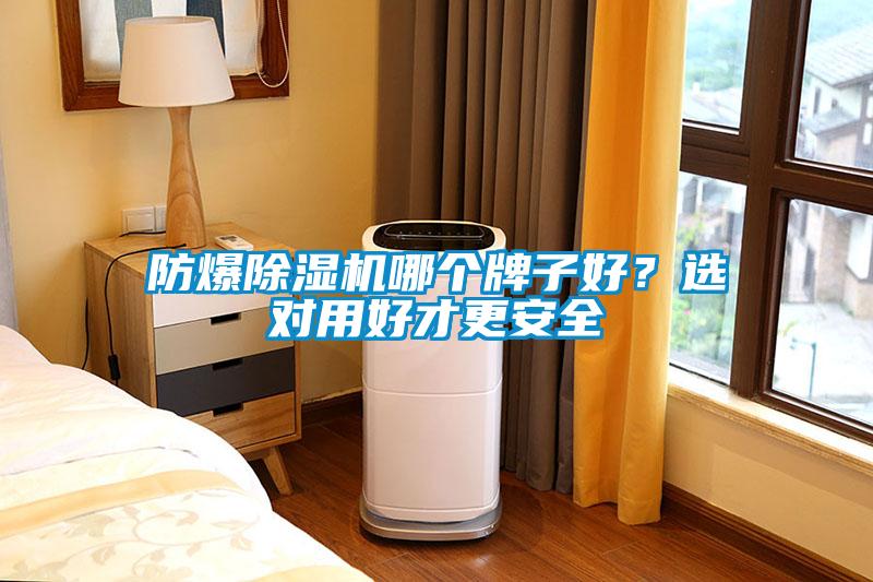防爆除濕機哪個牌子好？選對用好才更安全