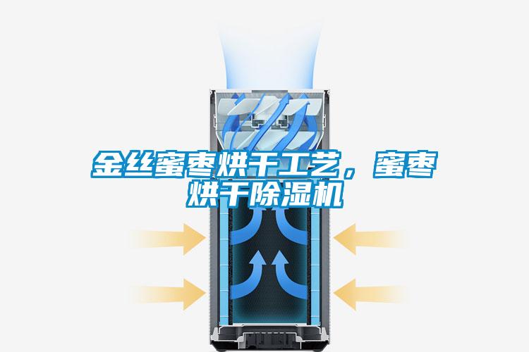 金絲蜜棗烘干工藝，蜜棗烘干除濕機