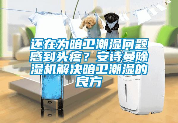 還在為暗衛(wèi)潮濕問題感到頭疼？安詩曼除濕機(jī)解決暗衛(wèi)潮濕的良方