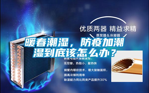 暖春潮濕，防疫加潮濕到底該怎么辦？