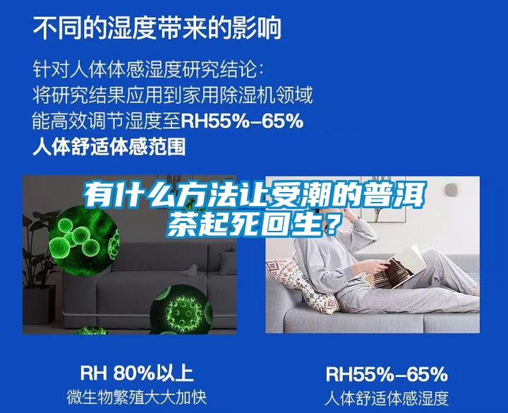 有什么方法讓受潮的普洱茶起死回生？