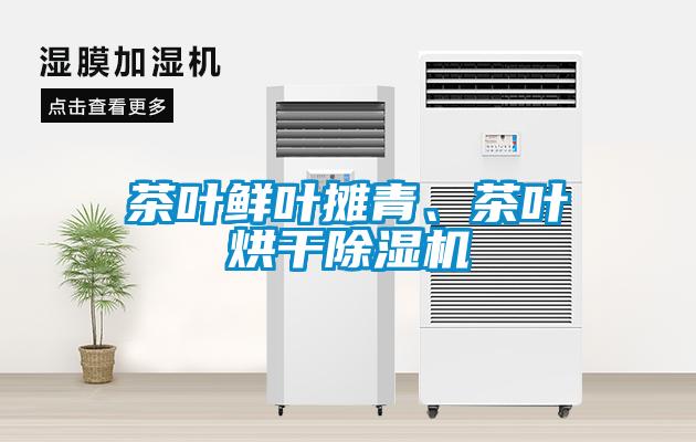 茶葉鮮葉攤青、茶葉烘干除濕機