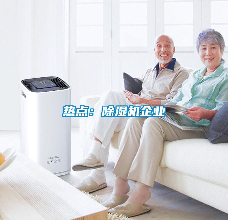 熱點：除濕機企業(yè)