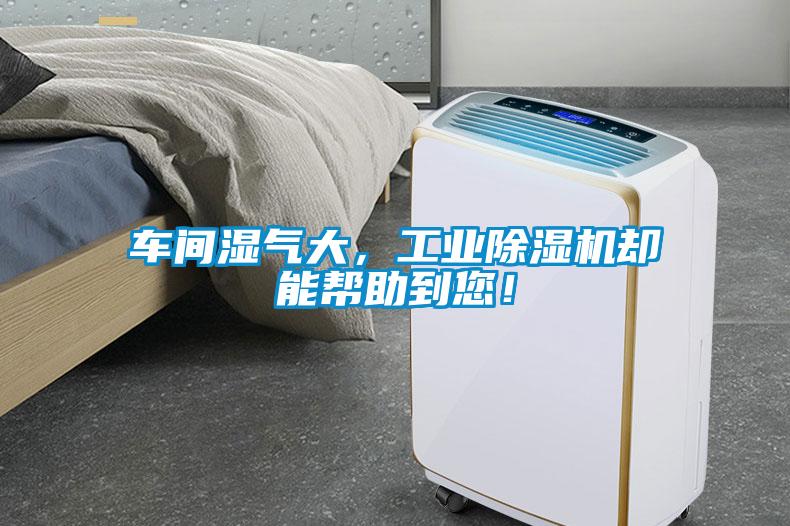 車間濕氣大，工業(yè)除濕機卻能幫助到您！