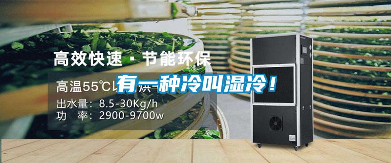有一種冷叫濕冷！