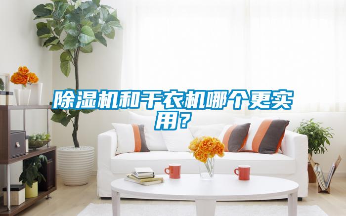 除濕機(jī)和干衣機(jī)哪個更實用？