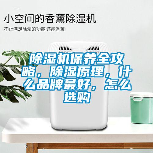 除濕機保養(yǎng)全攻略，除濕原理，什么品牌最好，怎么選購