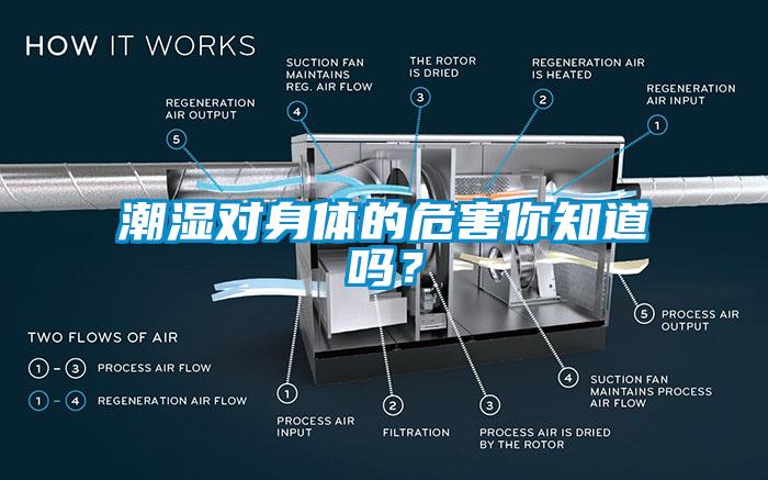 潮濕對身體的危害你知道嗎？