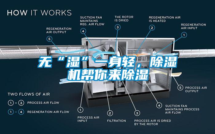 無“濕”一身輕，除濕機幫你來除濕