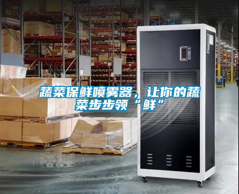 蔬菜保鮮噴霧器，讓你的蔬菜步步領(lǐng)“鮮”
